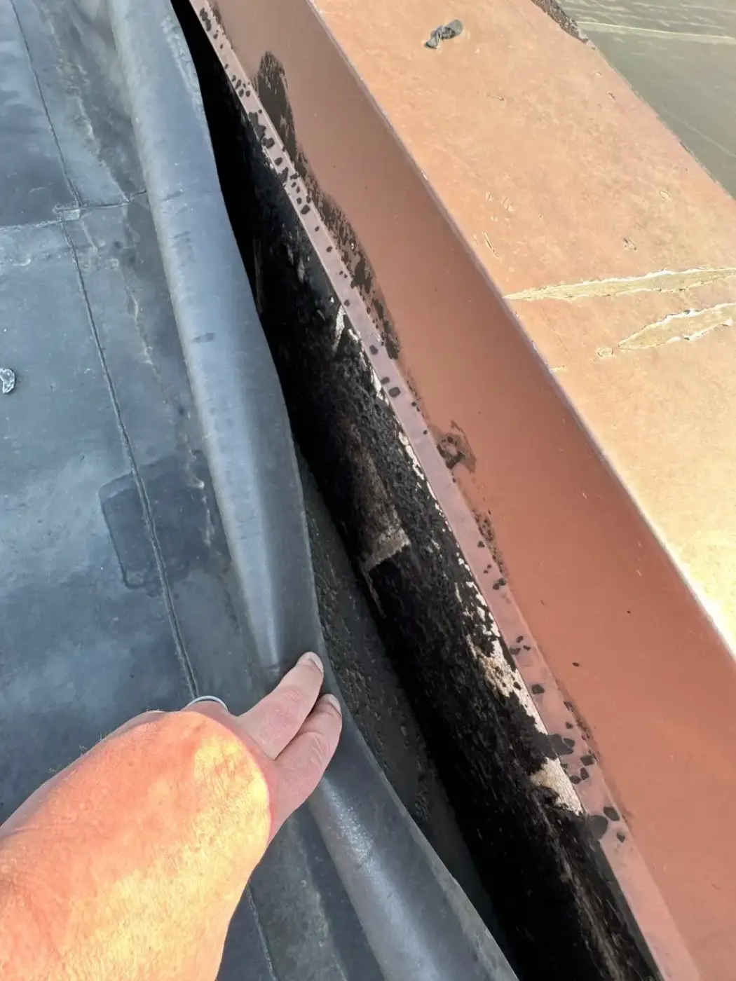 Tarping and dry-in on a Edgewood commercial roof